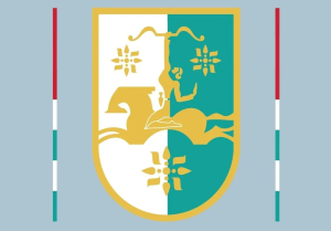 Нормотворческая деятельность Правительства в 2025 году