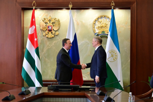 Владимир Делба встретился с главой Башкортостана Радием Хабировым